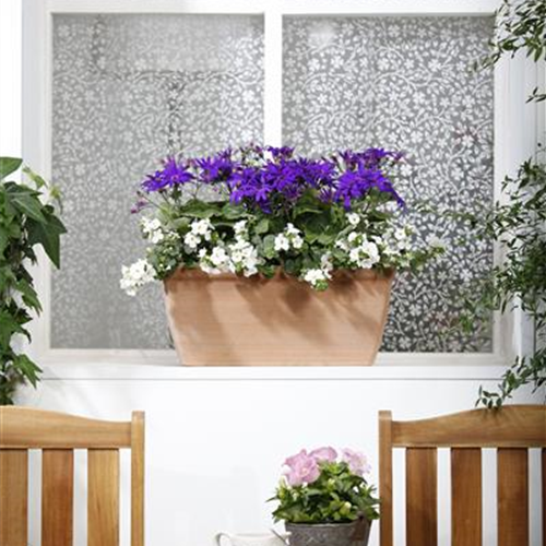 WINTERHARTE PFLANZEN FüR DEN BALKON WINTERHARTE PFLANZEN FüR DEN BALKON