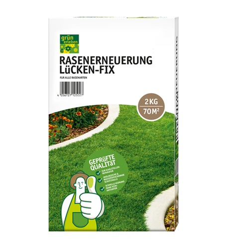 Rasenerneuerung Lücken-Fix