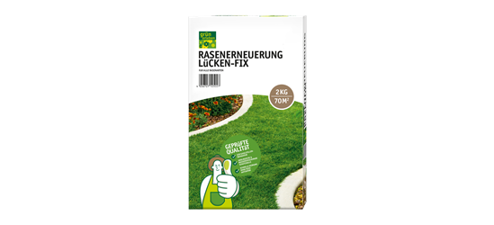 Rasenerneuerung Lücken-Fix