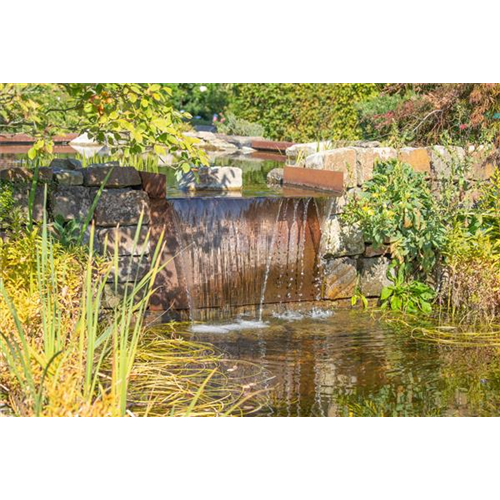 WASSERPFLANZEN FüR DEN GARTENTEICH