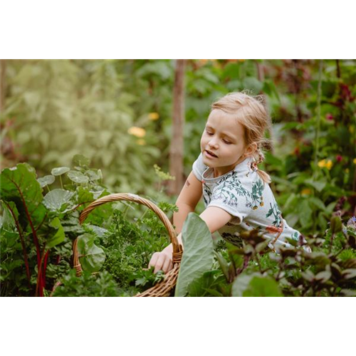 KINDER SPIELERISCH IN DIE ERNTE EINBEZIEHEN