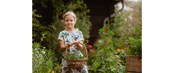 KINDER SPIELERISCH IN DIE ERNTE EINBEZIEHEN