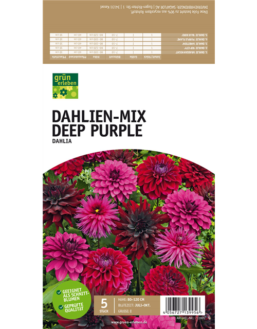 Dahlien-Mix Deep Purple