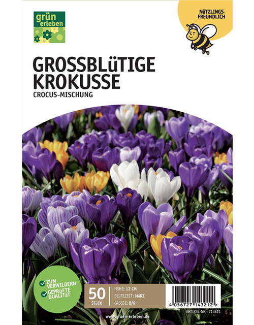 Krokus 