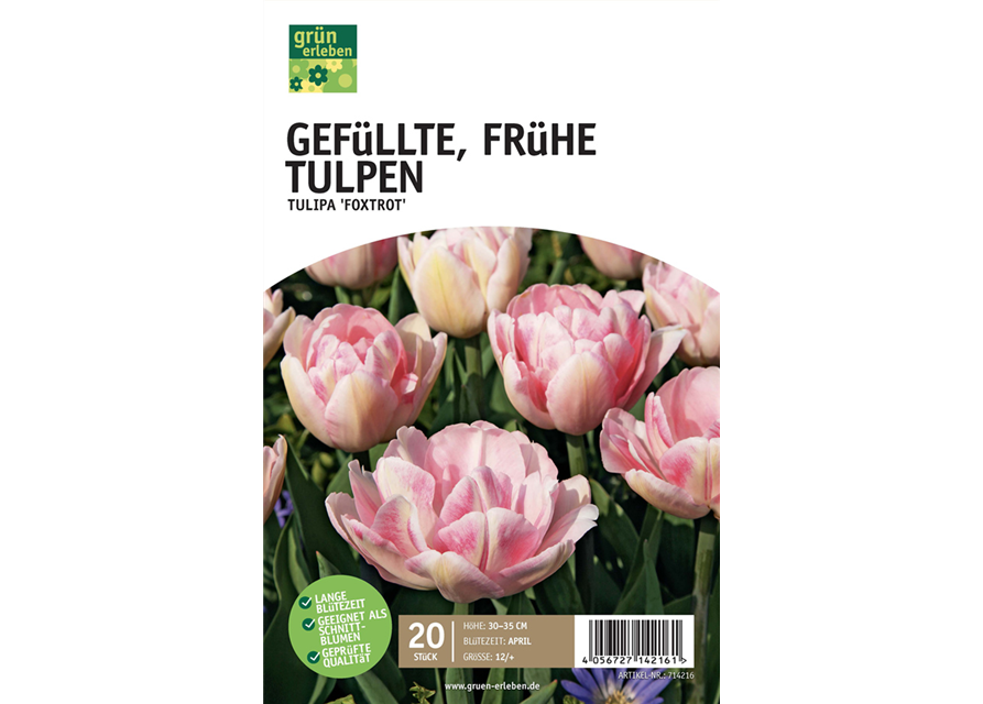 Frühe Tulpen, gefüllt