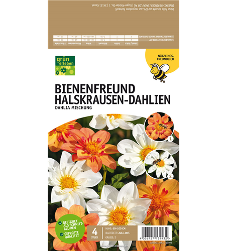 Bienenfreund Halskrausen-Dahlien