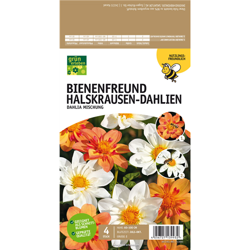 Bienenfreund Halskrausen-Dahlien