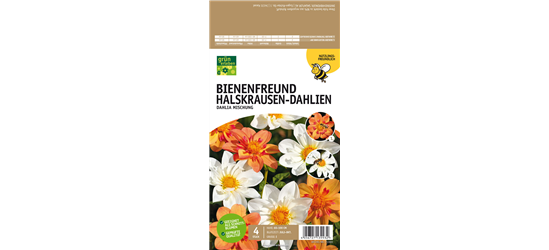 Bienenfreund Halskrausen-Dahlien