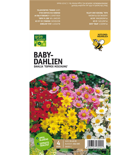 Bienenfreundliche Baby-Dahlien