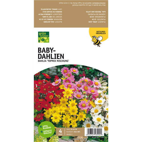 Bienenfreundliche Baby-Dahlien