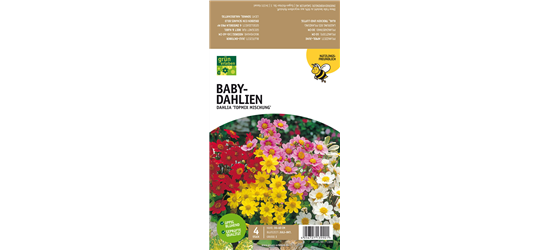 Bienenfreundliche Baby-Dahlien