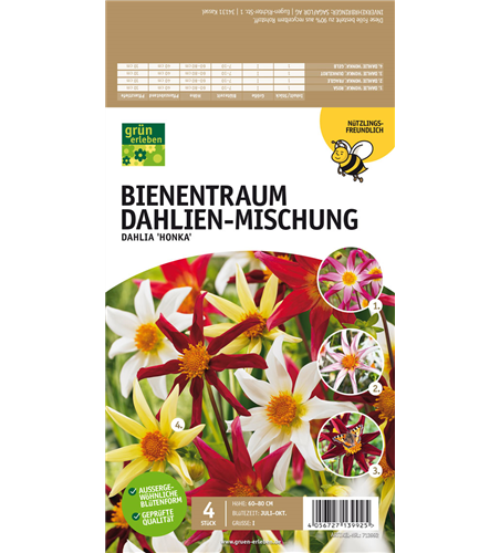 Bienentraum Dahlien-Mischung