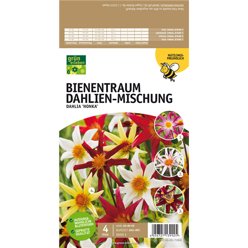 Bienentraum Dahlien-Mischung