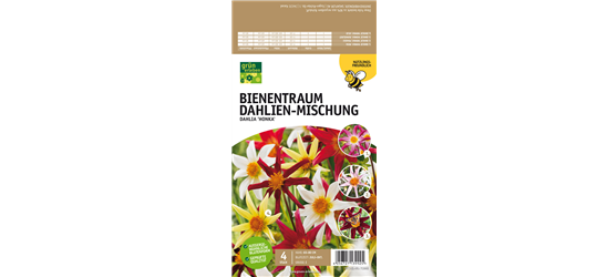 Bienentraum Dahlien-Mischung