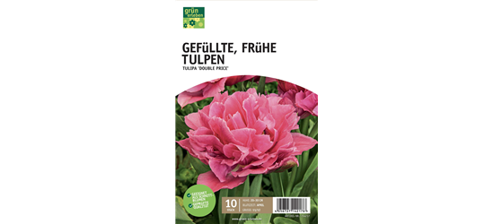 Gefüllte frühe Tulpen