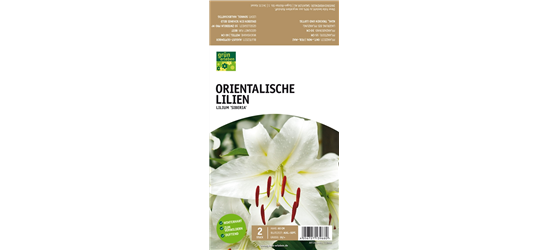 Orientalische Lilien