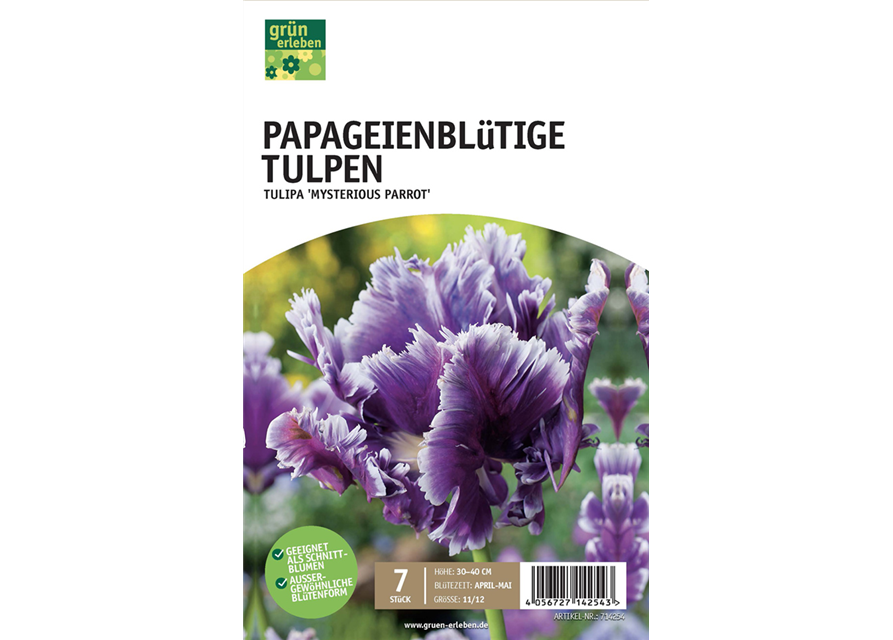 Papageien-Tulpen