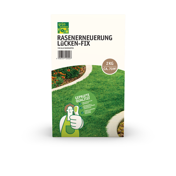 Rasenerneuerung Lücken-Fix