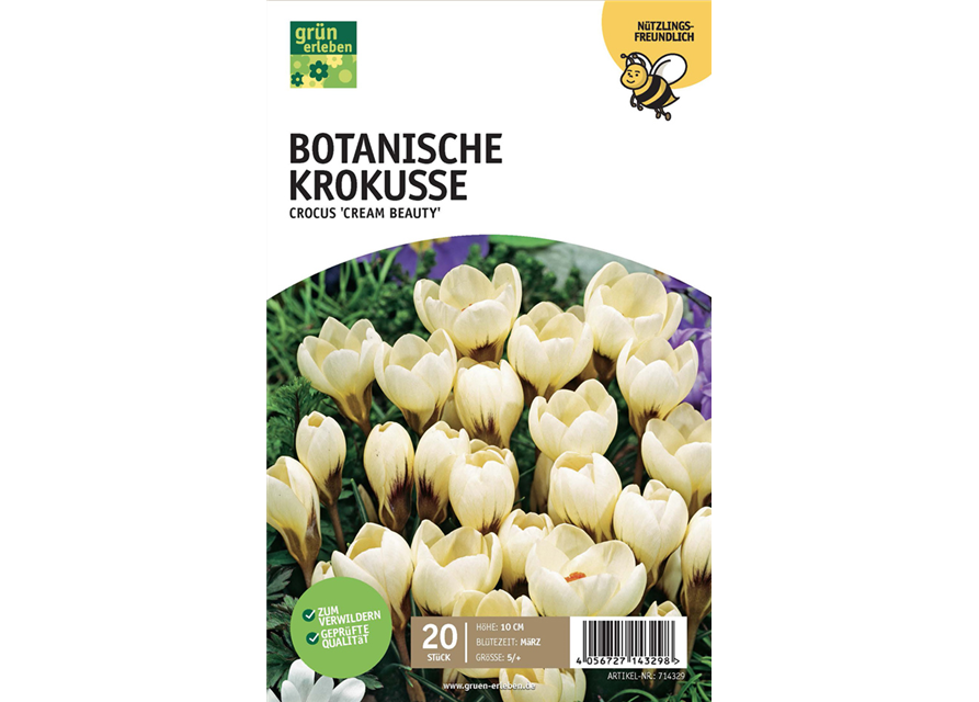 Botanische Krokusse