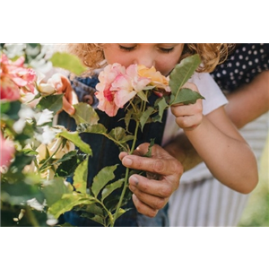 VOLLE BLüTE, VOLLER DUFT!